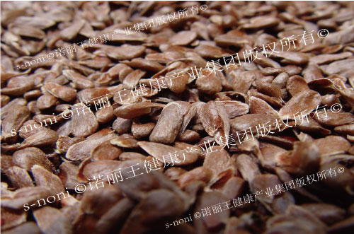 Noni Soap OEM (Hot Premium Item)-第1张图片