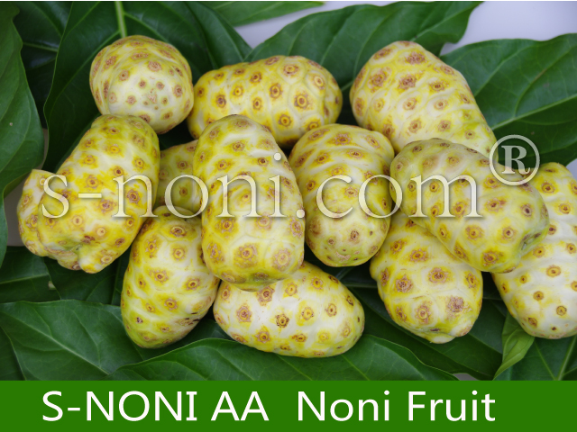 Noni Juice OEM Manufacturing-第1张图片