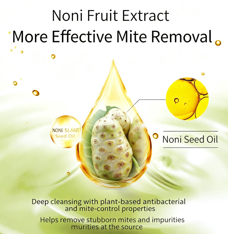 Noni Soap OEM (Hot Premium Item)-第2张图片