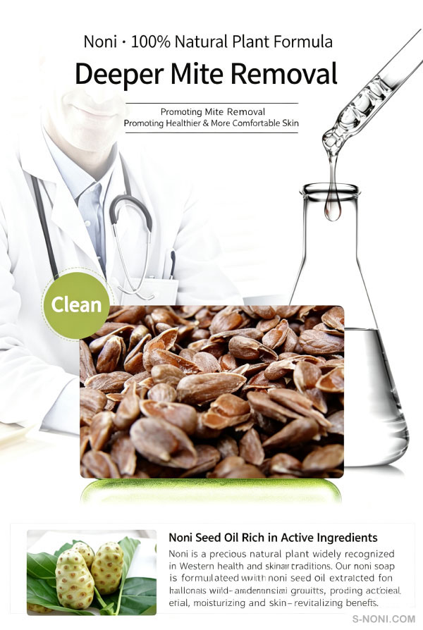 Noni Soap OEM (Hot Premium Item)-第3张图片