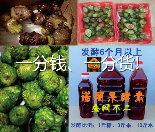 Traditional Chinese Medicine Will Perish Because of Its Herbs! Who Can Save Chinese Materia Medica? (Full Text)-第7张图片