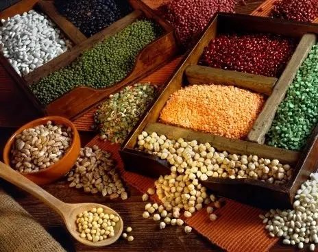 Traditional Chinese Medicine Will Perish Because of Its Herbs! Who Can Save Chinese Materia Medica? (Full Text)-第2张图片